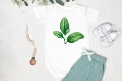 Watercolor wild berry clipart Red lingonberry Summer sticker Product Image 5