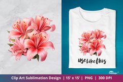 Beautiful Aglaonema Flower Clip Art Sublimation 5 Product Image 1
