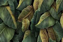 Banana Leaves Background Product Image 1