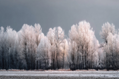 Snowy Winter Landscape Background Product Image 1