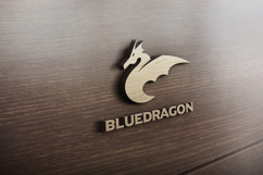 Blue Dragon Logo Product Image 4