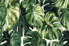 Monstera Leaves Background Product Image 1