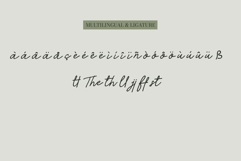 Alacati | Elegant Handwritten Script Product Image 5