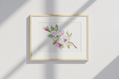 Magnolia flowers watercolor clipart set Product Image 6