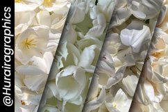 Tulip Petals Digital Papers Bundle Product Image 5