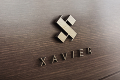 Xavier - Letter X Logo Product Image 4