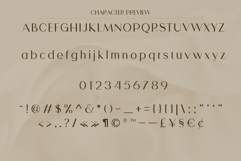Sonaria - Elegant Modern Sans Serif Product Image 5
