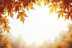 Autumn Leaves Border Background Product Image 1