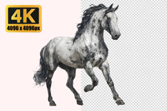 Dappled Gray Horse Transparent PNG Product Image 1