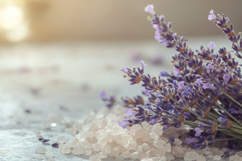 English Lavender Background Wallpaper Product Image 1