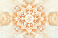 Mandala Background Wallpaper Product Image 1
