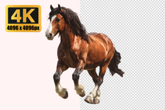 Powerful Clydesdale Horse Transparent PNG Product Image 1