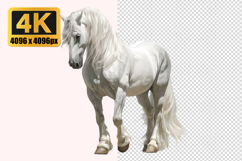 Majestic White Horse Transparent PNG Product Image 1