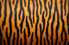Tiger Skin Pattern Background Product Image 1
