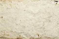 Paper Texture Background Wallpaper Product Image 1