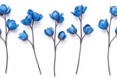 Blue Flower Background Product Image 1