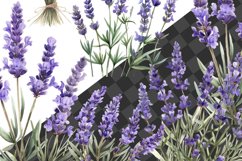 Watercolor lavender png, Provence lavender, Lavender wreath Product Image 6