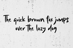 Just Brush Product Image 6