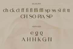 Sonaria - Elegant Modern Sans Serif Product Image 6