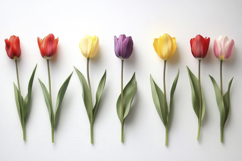 Colorful Flowers on White Background Wallpaper Product Image 1