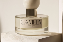 Ronnea || Modern Minimalist Serif Font Product Image 6