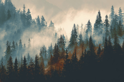Misty Forest Landscape Background Wallpaper Product Image 1