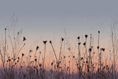 Peaceful Nature Morning Background Wallpaper Product Image 1