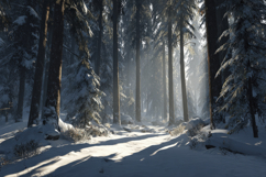 Sunlight Winter Forest Background Wallpaper Product Image 1