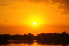 Sunset With Lake Background Product Image 1