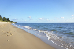 Tranquil Sandy Beach Background Wallpaper Product Image 1