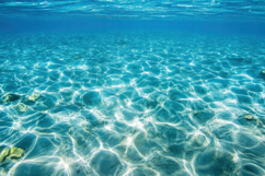 Underwater Scene Background Wallpaper Product Image 1