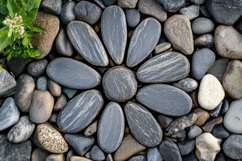 Stone Flower Background Wallpaper Product Image 1