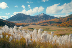 Mountain and Grass Background Wallpaper Product Image 1