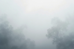 Blur Fog Background Product Image 1