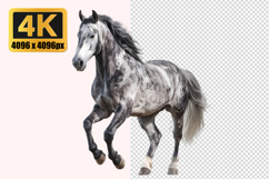 Grey Horse Transparent PNG Product Image 1