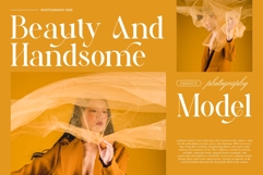 Trafise || Modern Serif Font Product Image 9