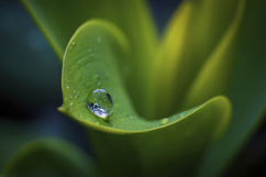 Water Droplet Background Wallpaper Product Image 1