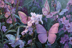 Flower With Butterfly Background Product Image 1