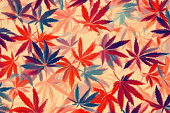 Marijuana Leaves Background Wallpaper Product Image 1