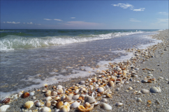 Beach Background Wallpaper Product Image 1