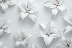 White Lilys Background Wallpaper Product Image 1