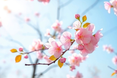 Cherry Blossom On Blue Background Product Image 1