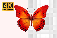 Gulf Fritillary Butterfly Transparent PNG Product Image 1
