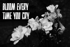 Greathem - Avant Garde Product Image 9