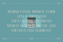 Eiden || Modern Serif Font Product Image 9