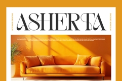 Trafise || Modern Serif Font Product Image 5