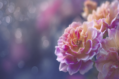 Floribunda Background Wallpaper Product Image 1