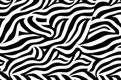 Zebra Print Pattern Background Product Image 1