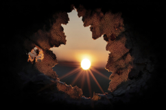 Sunset Viewed Hole in a Dry Leaf Background Wallpaper Product Image 1