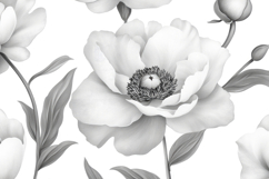 White Flowers Background Wallpaper Product Image 1